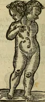 Picture 268 of 336 from The workes of that famous chirurgion Ambrose Parey : (1649), leaf 693