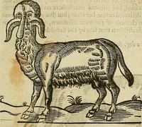 Picture 274 of 336 from The workes of that famous chirurgion Ambrose Parey : (1649), leaf 698