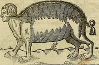 Picture 275 of 336 from The workes of that famous chirurgion Ambrose Parey : (1649), leaf 698