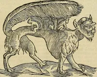 Picture 11 of 336 from The workes of that famous chirurgion Ambrose Parey : (1649), leaf 70