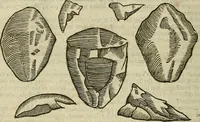 Picture 280 of 336 from The workes of that famous chirurgion Ambrose Parey : (1649), leaf 709