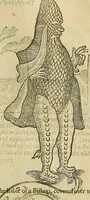 Picture 283 of 336 from The workes of that famous chirurgion Ambrose Parey : (1649), leaf 712