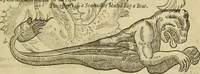 Picture 284 of 336 from The workes of that famous chirurgion Ambrose Parey : (1649), leaf 712
