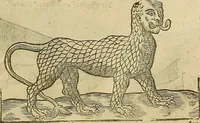Picture 285 of 336 from The workes of that famous chirurgion Ambrose Parey : (1649), leaf 712