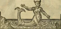 Picture 286 of 336 from The workes of that famous chirurgion Ambrose Parey : (1649), leaf 713