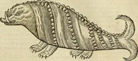 Picture 289 of 336 from The workes of that famous chirurgion Ambrose Parey : (1649), leaf 714