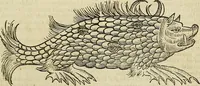 Picture 290 of 336 from The workes of that famous chirurgion Ambrose Parey : (1649), leaf 714