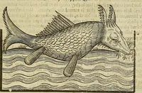 Picture 293 of 336 from The workes of that famous chirurgion Ambrose Parey : (1649), leaf 716
