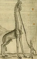 Picture 303 of 336 from The workes of that famous chirurgion Ambrose Parey : (1649), leaf 723