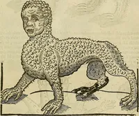 Picture 305 of 336 from The workes of that famous chirurgion Ambrose Parey : (1649), leaf 726