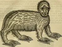 Picture 306 of 336 from The workes of that famous chirurgion Ambrose Parey : (1649), leaf 727