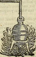 Picture 313 of 336 from The workes of that famous chirurgion Ambrose Parey : (1649), leaf 766