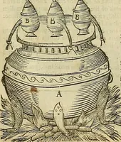 Picture 315 of 336 from The workes of that famous chirurgion Ambrose Parey : (1649), leaf 772