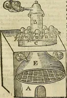 Picture 318 of 336 from The workes of that famous chirurgion Ambrose Parey : (1649), leaf 774