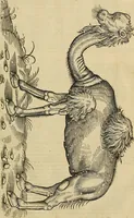 Picture 14 of 336 from The workes of that famous chirurgion Ambrose Parey : (1649), leaf 78