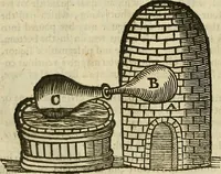 Picture 323 of 336 from The workes of that famous chirurgion Ambrose Parey : (1649), leaf 781