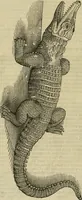Picture 15 of 336 from The workes of that famous chirurgion Ambrose Parey : (1649), leaf 83