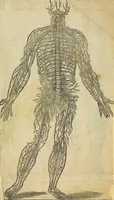 An illustration from The workes of that famous chirurgion Ambrose Parey : (1649)