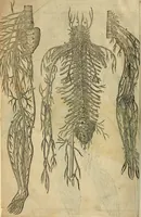Picture 335 of 336 from The workes of that famous chirurgion Ambrose Parey : (1649), leaf 885