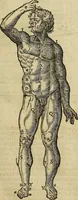 An illustration from The workes of that famous chirurgion Ambrose Parey : (1649)