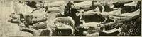 An illustration from The work of Fra Angelico da Fiesole reproduced in three hundred and twenty-seven illustrations (1913)