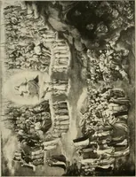 An illustration from The work of Fra Angelico da Fiesole reproduced in three hundred and twenty-seven illustrations (1913)