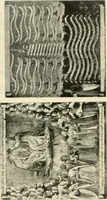 An illustration from The work of Fra Angelico da Fiesole reproduced in three hundred and twenty-seven illustrations (1913)