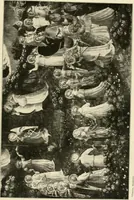 Picture 30 of 311 from The work of Fra Angelico da Fiesole reproduced in three hundred and twenty-seven illustrations (1913), leaf 60