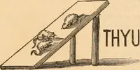 Picture 25 of 43 from Work and play annual of home amusements and social sports : containing directions for various in-door and out-door games, parlor tricks, acting charades, &c. ... (1872), leaf 32