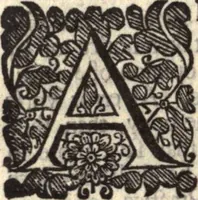 An illustration from The works of the learned Sr Thomas Brown, Kt., Doctor of Physick, late of Norwich. Containing I. Enquiries into vulgar and common errors. II. Religio medici: With annotations and observations upon it. III. Hydriotaphia; or, Vrn-Burial: Together with The garden of Cyrus. IV. Certain miscellany tracts. With alphabetical tables (1686)