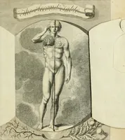 Picture 43 of 46 from The works of Jacob Behmen, the Teutonic theosopher : to which is prefixed, the life of the author (1764), leaf 640