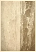 An illustration from The works of James McNeill Whistler (1913)