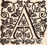 An illustration from The works of King Charles the Martyr: : with a collection of declarations, treaties, and other papers concerning the differences between his said majesty and his two houses of Parliament (1662)