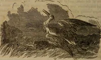 An illustration from The world: (1848)