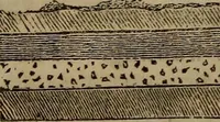 An illustration from The world: (1848)