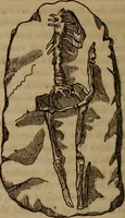 An illustration from The world: (1848)