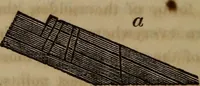 An illustration from The world: (1848)