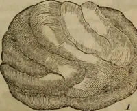 An illustration from The world: (1848)