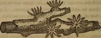 An illustration from The world: (1848)
