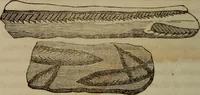 An illustration from The world: (1848)