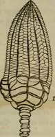 An illustration from The world: (1848)