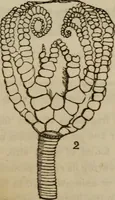 An illustration from The world: (1848)