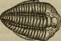 An illustration from The world: (1848)