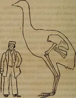 An illustration from The world: (1848)