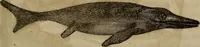 An illustration from The world: (1848)