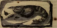 An illustration from The world: (1848)