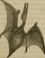 An illustration from The world: (1848)