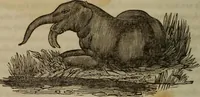 An illustration from The world: (1848)