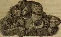 An illustration from The world: (1848)