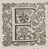 An illustration from The world encompassed by Sir Francis Drake. : Being his next voyage to that to Nombre de Dios, formerly imprinted; (1635)